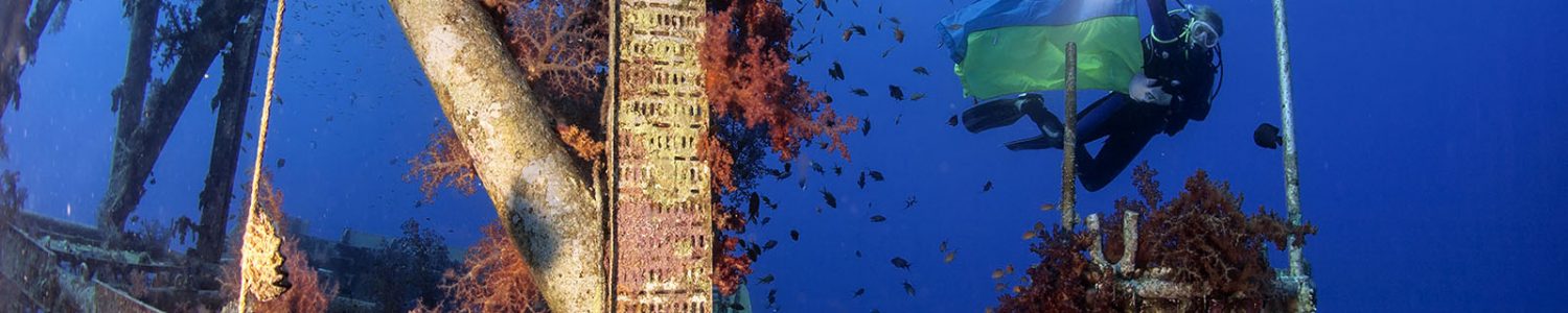 921 Підводне фотографування